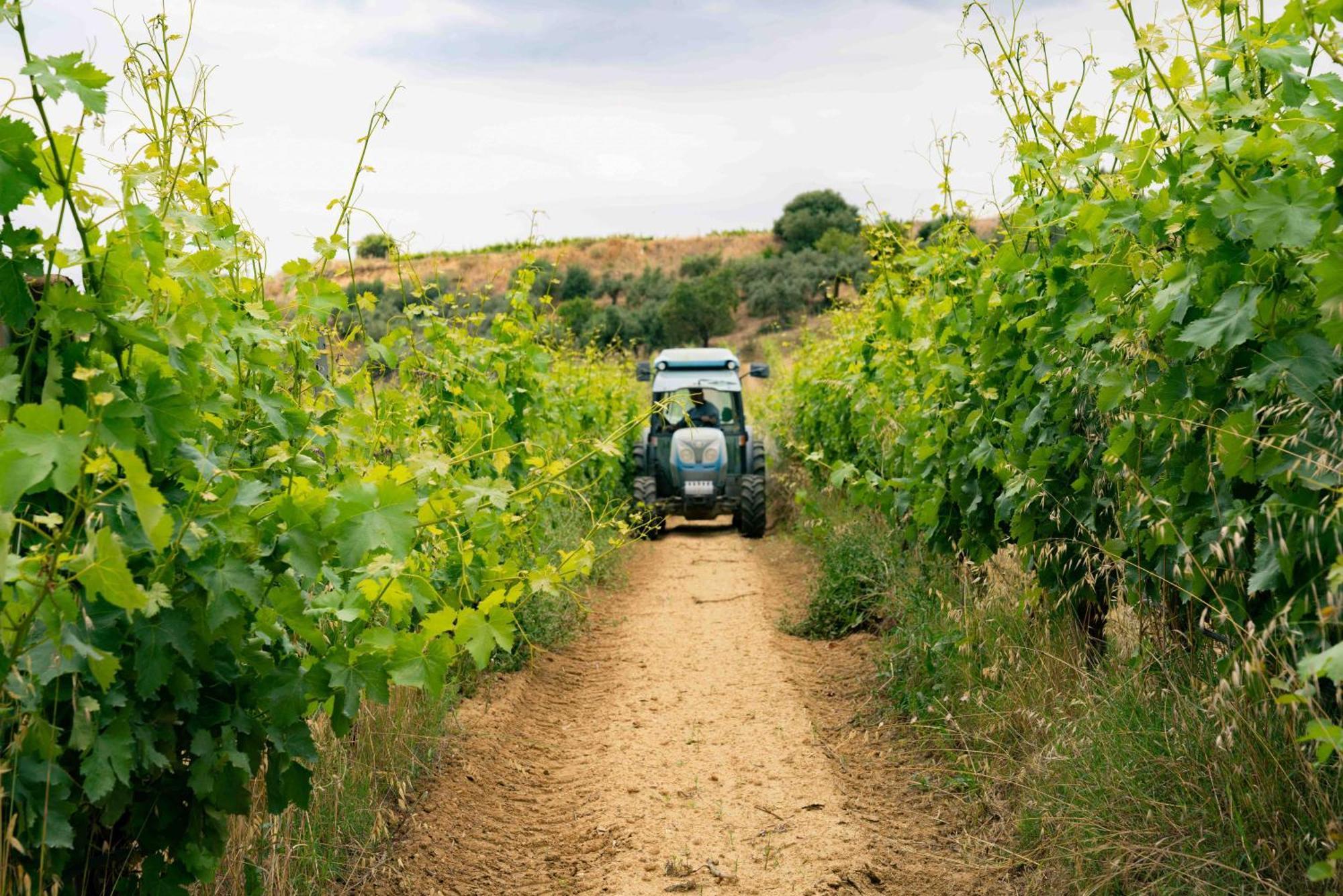 Judeka Agriresort Caltagirone Buitenkant foto